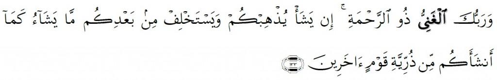 Surah Al-An'am Chapter 6 Verse 133