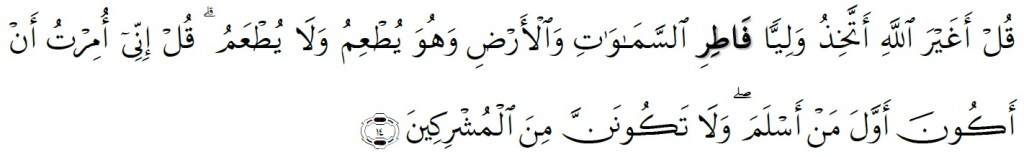 Surah Al-An'am Chapter 6 Verse 14