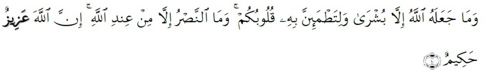 Surah Al-Anfal Chapter 8 Verse 10