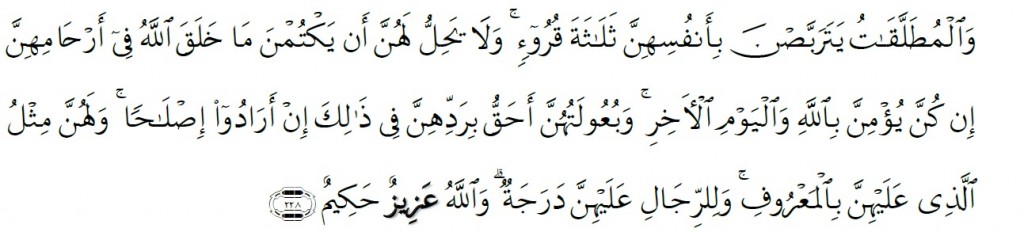 Surah Al-Baqarah Chapter 2 Verse 228