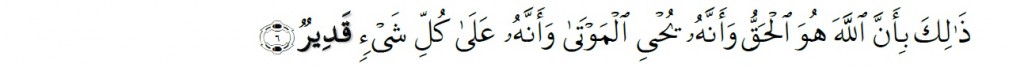 Surah Al-Hajj Chapter 22 Verse 6