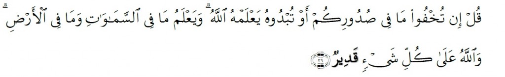 Surah Al-'Imran Chapter 3 Verse 29
