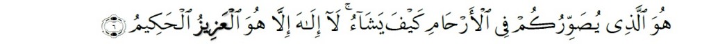 Surah Al-'Imran Chapter 3 Verse 6