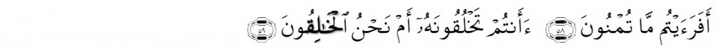 Surah Al-Waqi'ah Chapter 56 Verses 58-59
