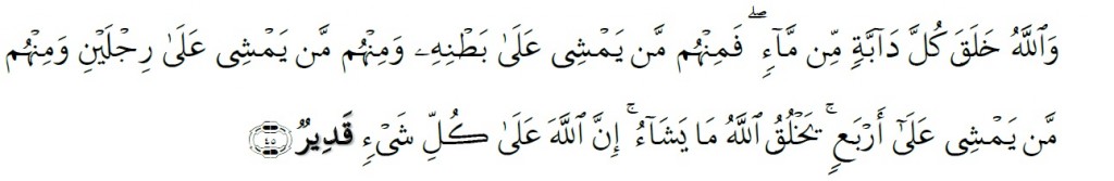 Surah An-Nur Chapter 24 Verse 45