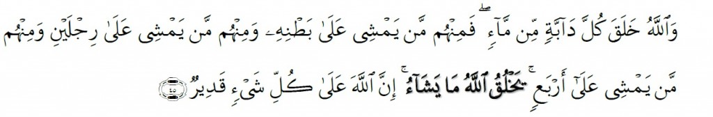 Surah An-Nur Chapter 24 Verse 45