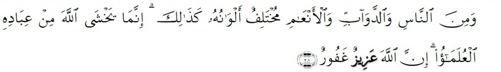 Surah Fatir Chapter 35 Verse 28