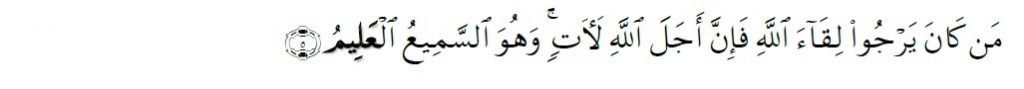 Surah Al-'Ankabut Chapter 29 Verse 5