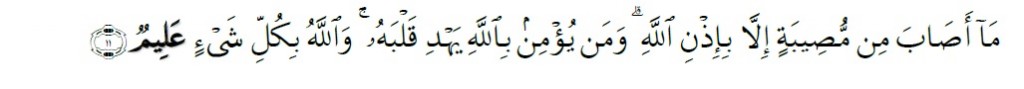 Surah At-Taghabun Chapter 64 Verse 11