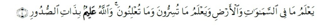 Surah At-Taghabun Chapter 64 Verse 4